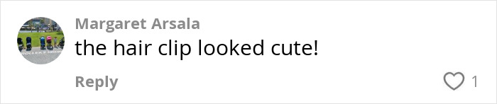 Comment mentioning a hair clip amid buzz about red carpet temper tantrum.