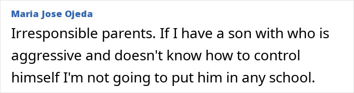 User comment criticizing irresponsible parents of aggressive sons.