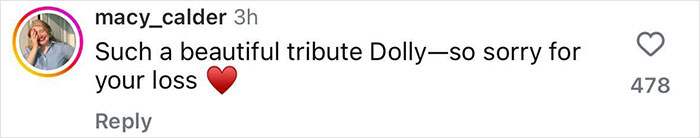 Comment praising Dolly Parton's tribute song to husband, expressing condolences.