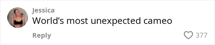 Comment by user "Jessica" about an unexpected cameo, with 377 likes.