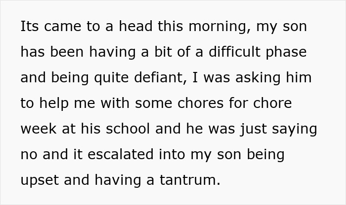 Text about a mother's struggle with her son&rsquo;s tantrum over chores and a boyfriend's laziness.