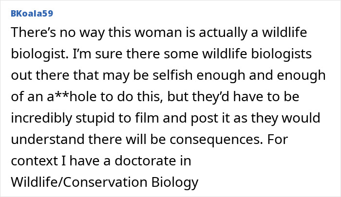 Comment discussing American tourist taking baby wombat, questioning her being a wildlife biologist. Comment discussing American tourist taking baby wombat, questioning her being a wildlife biologist.