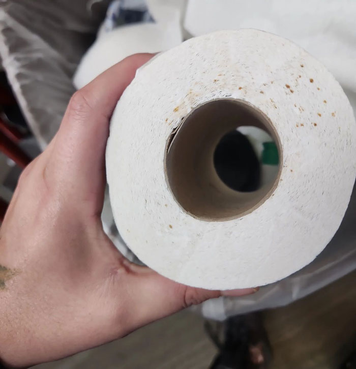 Toilet paper held by hand, possibly showing hidden needle marks in public restrooms.