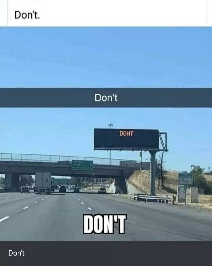 Road sign humor meme saying "DON'T" repeatedly, capturing the essence of hilarious giving-up-on-life memes.