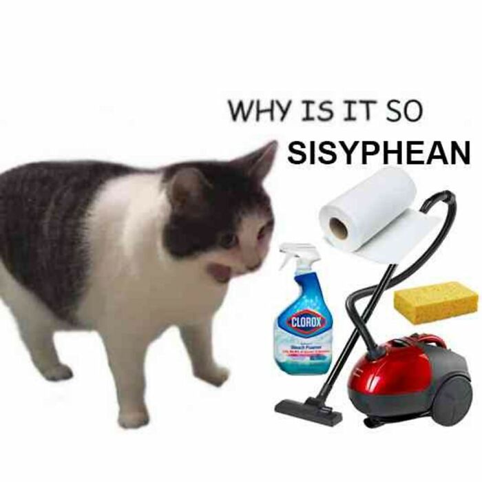 Cat with cleaning supplies, captioned "Why is it so Sisyphean," reflecting cheerful nihilism meme humor.