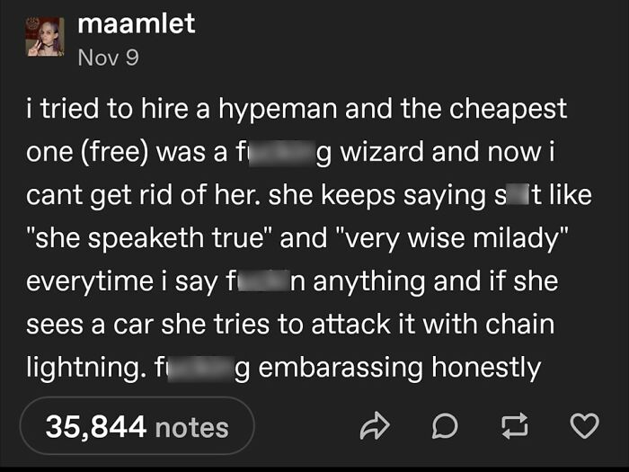 Relatable meme about hiring a hypeman, featuring amusing medieval wizard antics and comical frustration.