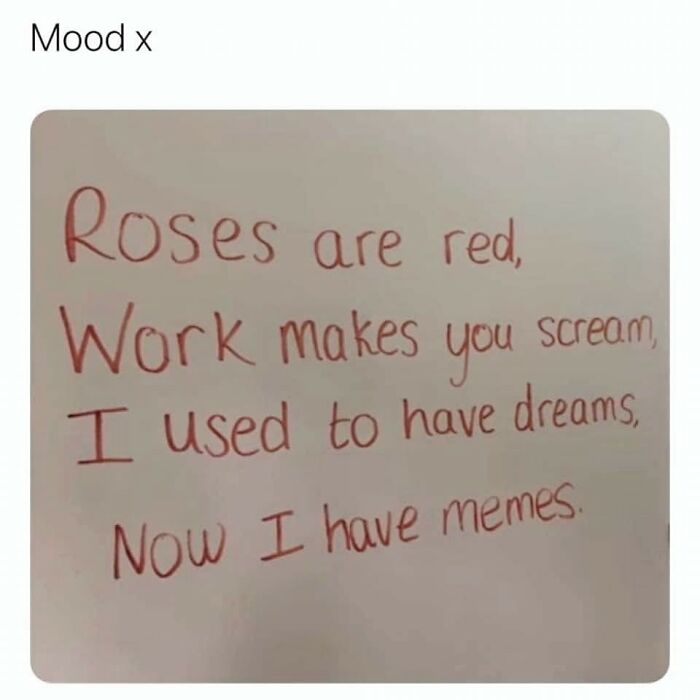 Text on a wall reads, "Roses are red, work makes you scream, I used to have dreams, now I have memes," highlighting cheerful nihilism.