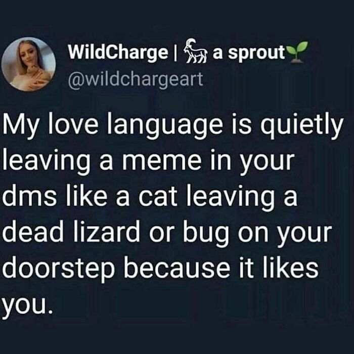 Humorous meme about love language and leaving DMs like a cat with a lizard.