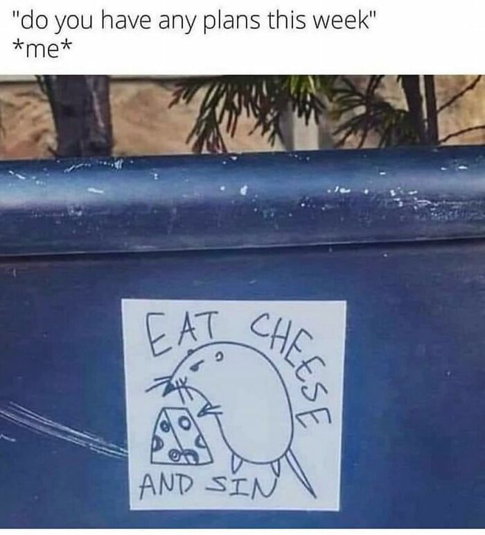 Funny meme showing a rat illustration with the words "Eat Cheese and Sin" for humor enthusiasts.