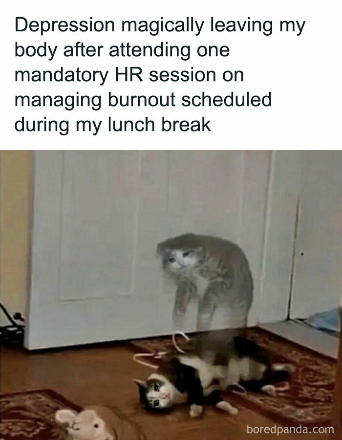 Funny meme of a cat's ghost leaving its body, humorously depicting relief after a mandatory HR session.