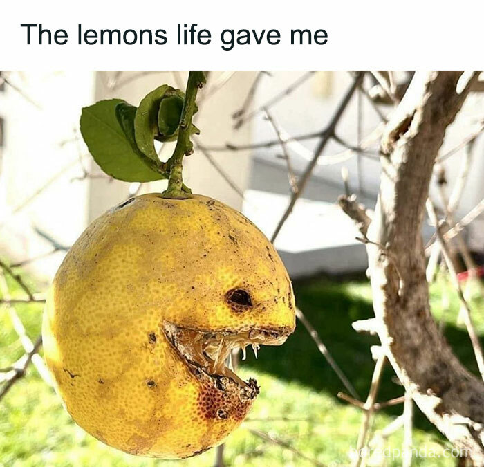 Distorted lemon with a face, humorously captioned "The lemons life gave me," resembling a creature in a meme.