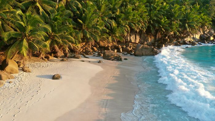 Tropical beach with palm trees and waves, creating a stunning travel destination for beach lovers.