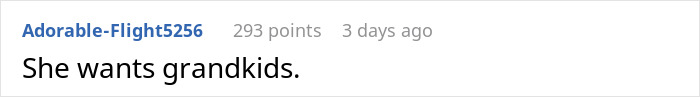 Screenshot of a Reddit comment saying 'She wants grandkids', discussing mom's opinion in matchmaking.