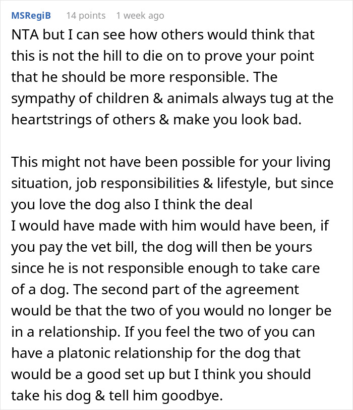Comment discussing irresponsible spending, vet bills, and relationship issues regarding a boyfriend's behavior.