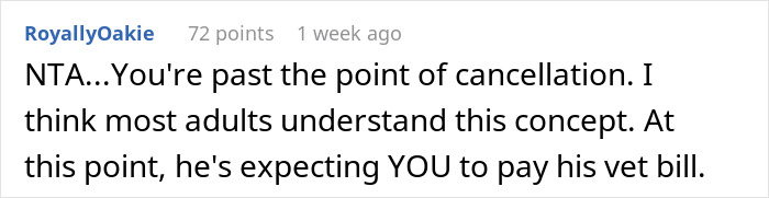 Comment discussing expectations around paying a brother's dog's vet bill, relating to vacation reimbursement.