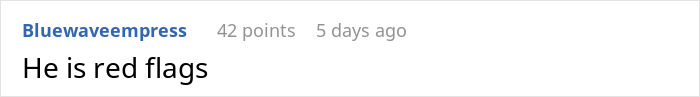Reddit comment saying "He is red flags," highlighting relationship issues. Reddit comment saying "He is red flags," highlighting relationship issues.