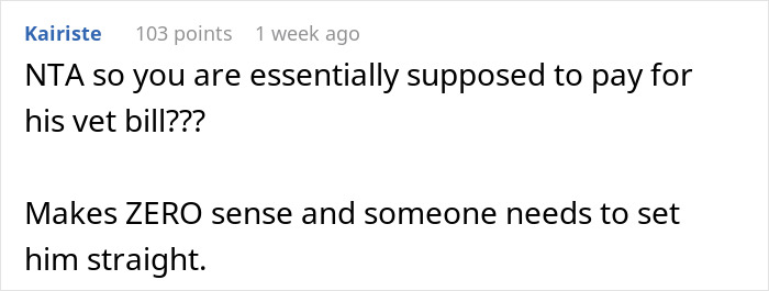 Comment discussing vacation reimbursement and brother's dog bill confusion.