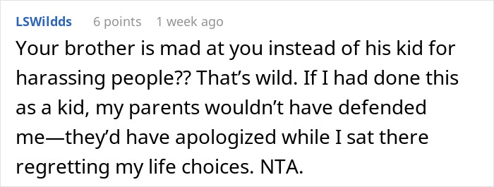 Reddit user comments on brother's lack of discipline toward son, calling sister a bad aunt; supports sister's actions.