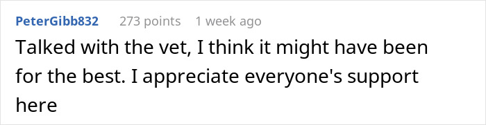 Comment expressing loss of dog and trust, appreciation for support.