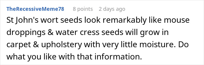 Comment by TheRecessiveMeme78 about St John's wort seeds and water cress on upholstery, mentioning toilet paper. Comment by TheRecessiveMeme78 about St John's wort seeds and water cress on upholstery, mentioning toilet paper.