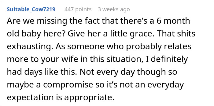 Reddit user comments on wife morning wake refusal and parenting challenges with a 6-month-old baby.