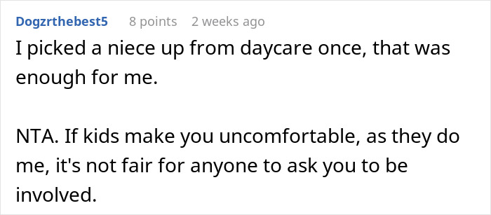 Comment from Dogzrthebest5 discussing discomfort with taking on a parental role.
