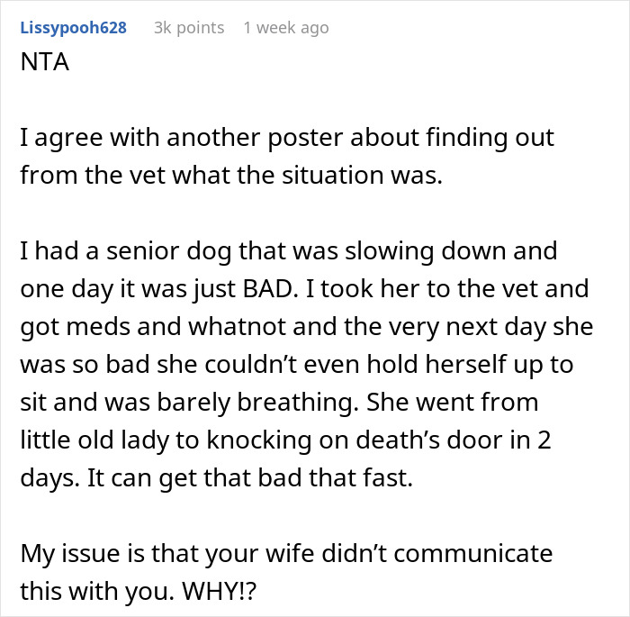 Text post discussing a senior dog's sudden health decline and issues with wife not communicating about putting the dog down.