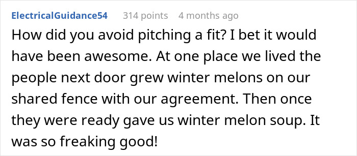 Comment about winter melons and sharing winter melon soup between neighbors.