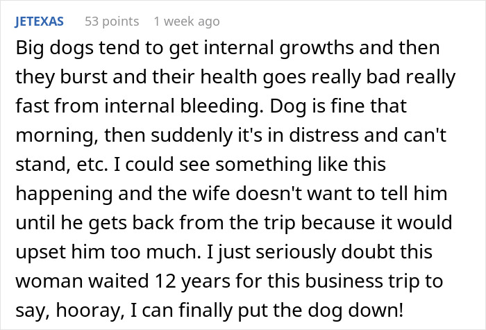 Text from a forum post discussing a scenario where a dog is put down without the husband's knowledge, causing trust issues.