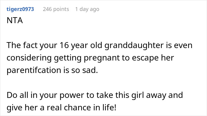 Reddit comment discussing a teenager forced to care for siblings, highlighting parentification issues. Reddit comment discussing a teenager forced to care for siblings, highlighting parentification issues.