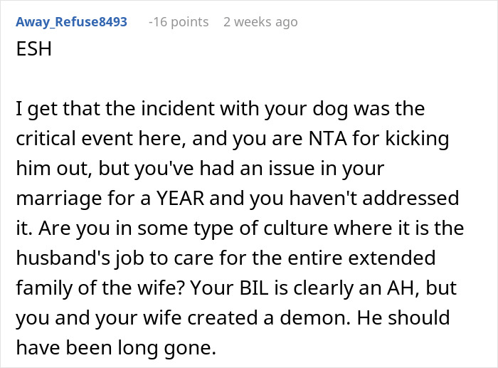 Reddit comment addressing mooching brother-in-law situation involving a dog incident and cultural expectations.