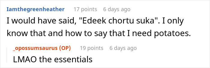 Reddit comments exchange about language and essentials.