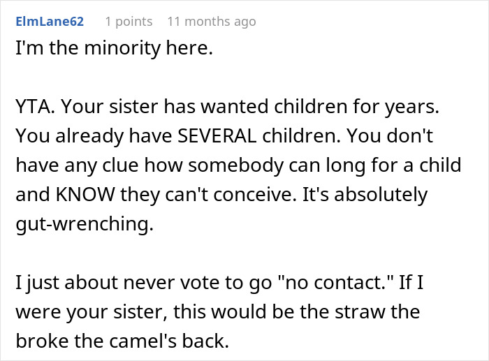 Screenshot of a Reddit comment criticizing a brother for adopting his deceased sibling's baby, highlighting sibling conflict.
