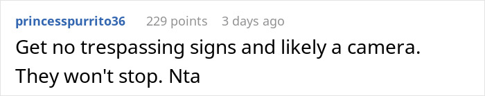 Comment suggesting no trespassing signs and a camera to stop neighbor's kids from entering pool area.