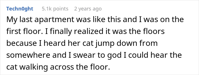 Comment about apartment noise issues, mentioning a cat's footsteps being audible.