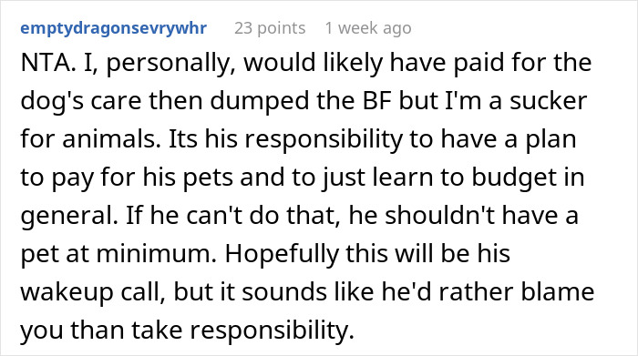 Comment discussing a BF spending on toys and GF refusing to pay for urgent vet bill.