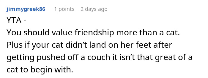 Online comment criticizing someone for prioritizing their cat over a friendship.