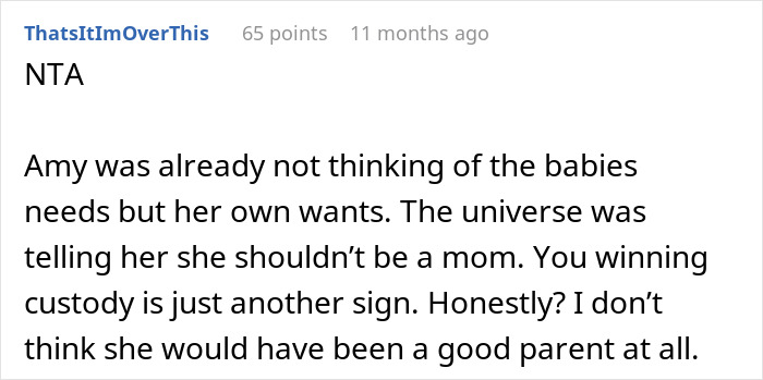 Reddit comment discussing custody after a deceased sibling's baby adoption, questioning another's parenting potential.