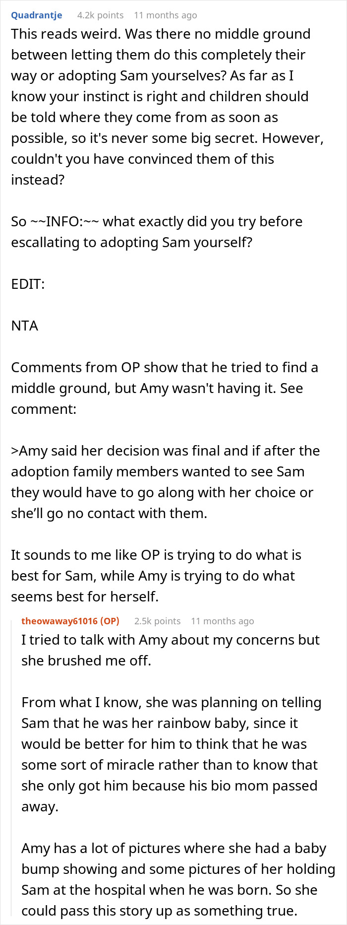 Reddit discussion about a brother adopting his deceased sibling's baby, and the impact on his sister struggling with fertility.