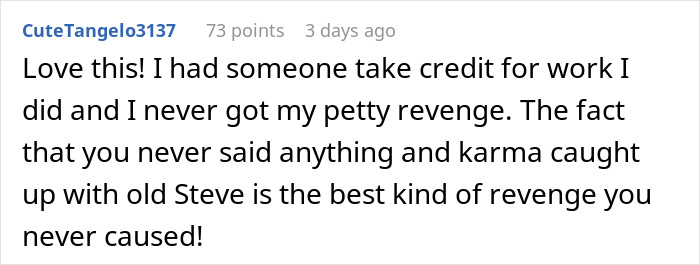 Reddit comment about karma and revenge for a coworker stealing work, praised for patience.