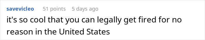 Reddit comment about employment termination laws in the United States.