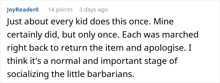 Text comment discussing kids learning to return stolen items, reflecting on socializing sticky-fingers niece and toy consequences.