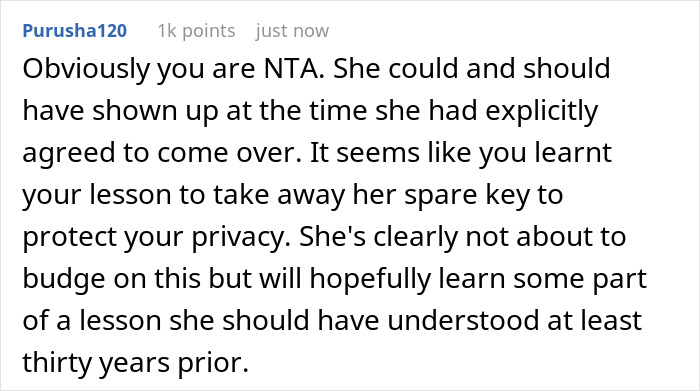 Reddit comment discussing a mom showing up unannounced, highlighting privacy issues. Reddit comment discussing a mom showing up unannounced, highlighting privacy issues.