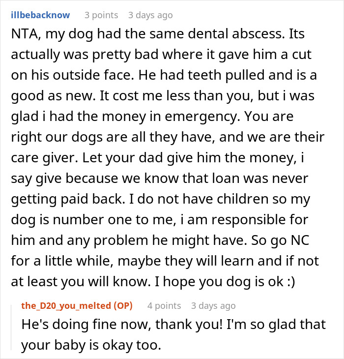 Reddit comment discussing spending money on dog care, not lending brother $700. Reddit comment discussing spending money on dog care, not lending brother $700.