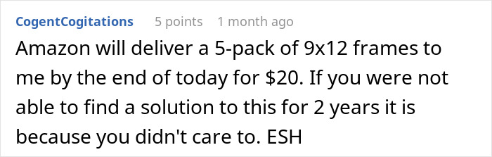 Comment discussing quick Amazon delivery for 9x12 frames and solution suggestion in an art-related debate.