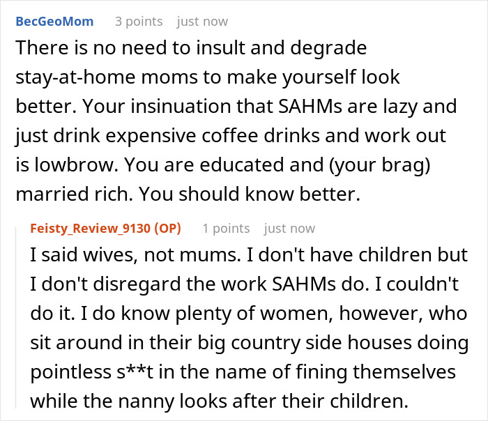 Discussion on stay-at-home moms and perspectives on lifestyle choices in a social media thread.
