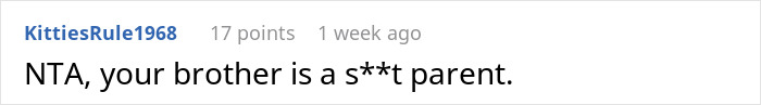 Reddit comment criticizing brother's parenting skills.