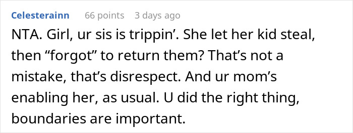 Comment discussing setting boundaries with a sticky-fingers niece and returning stolen trinkets before giving back toys.