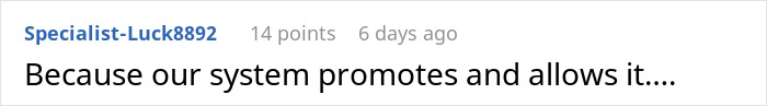 Reddit comment by Specialist-Luck8892 discussing system promotion in response to passenger drama over aisle seat.