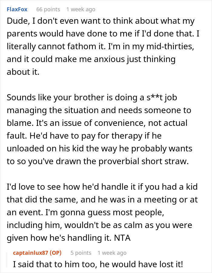 Reddit comment discussing a brother's poor job disciplining his son, sister steps in. Accusations of being a bad aunt arise.